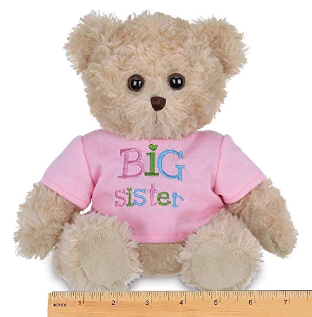 Oso de peluche (12.0 in), color rosa