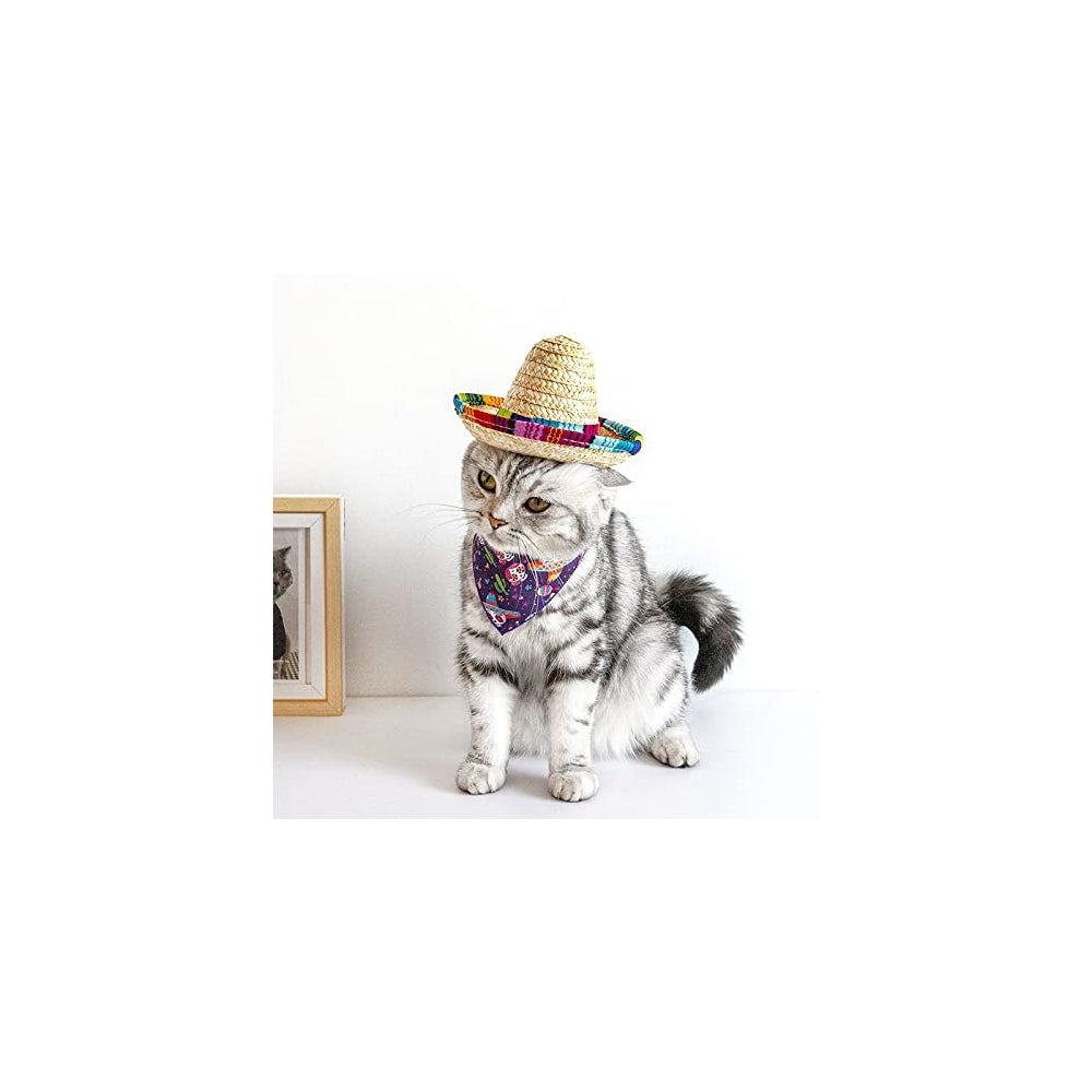 Disfraces de Sombrero para perro talla S