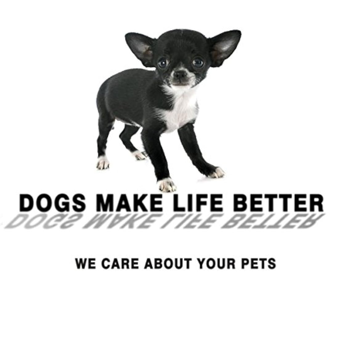 6 juguetes para perros pequeños
