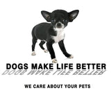 6 juguetes para perros pequeños