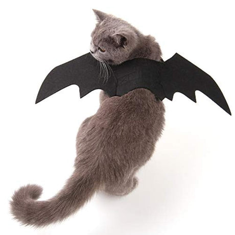 disfraz para gatos