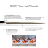 Cuchillo japonés de cocina de JapanBargain de acero
