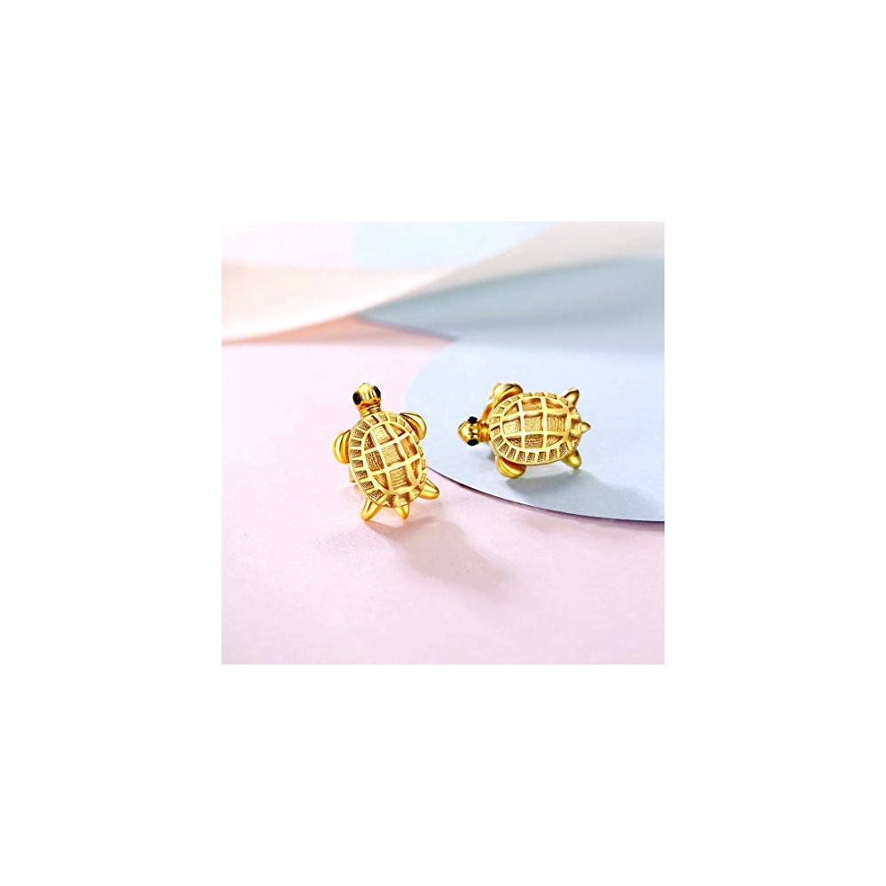 Aretes de plata de ley on diseño para mujeres