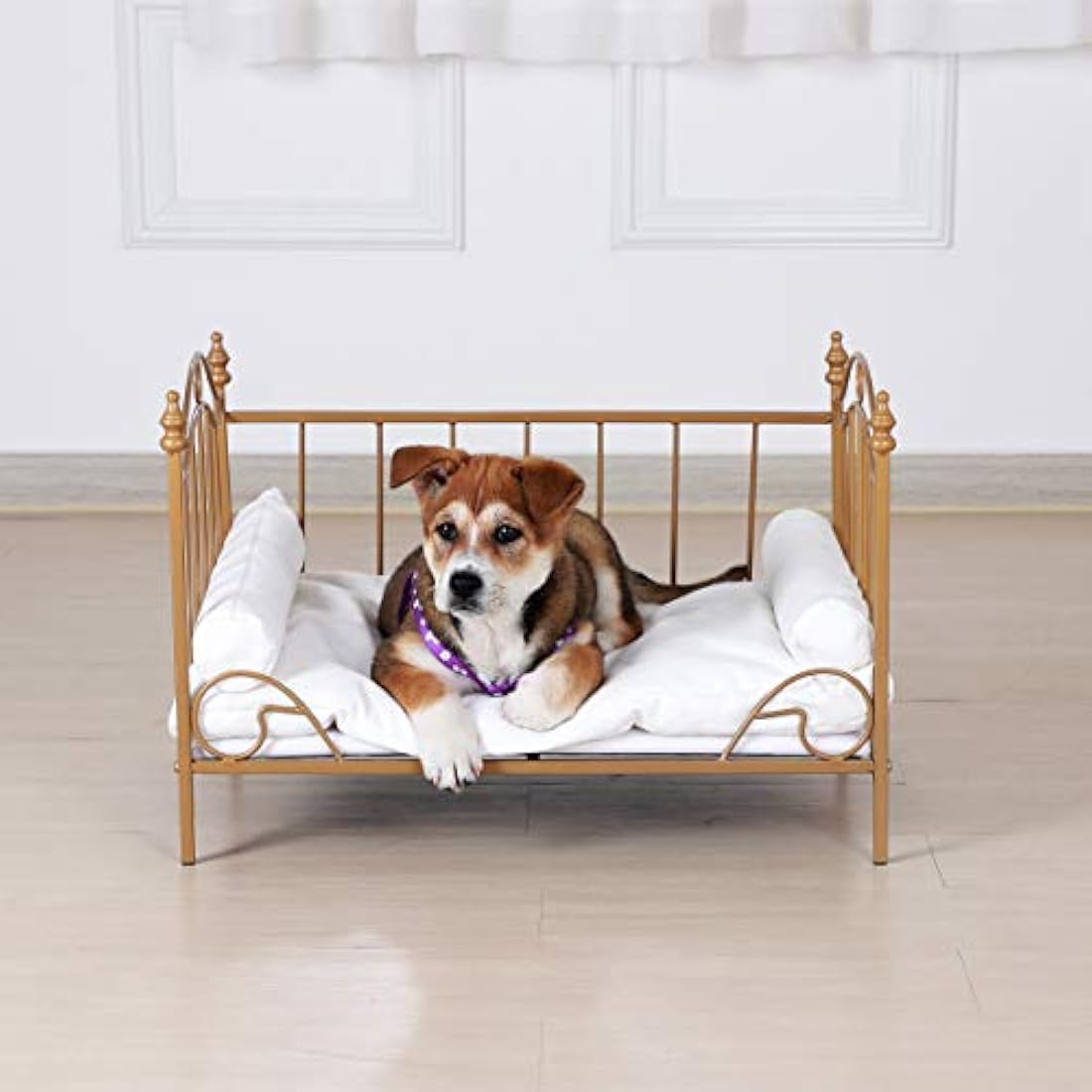 Cama para perro marco de metal cojín de terciopelo blanco