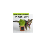 Kit de recarga de hierba orgánica para gatos