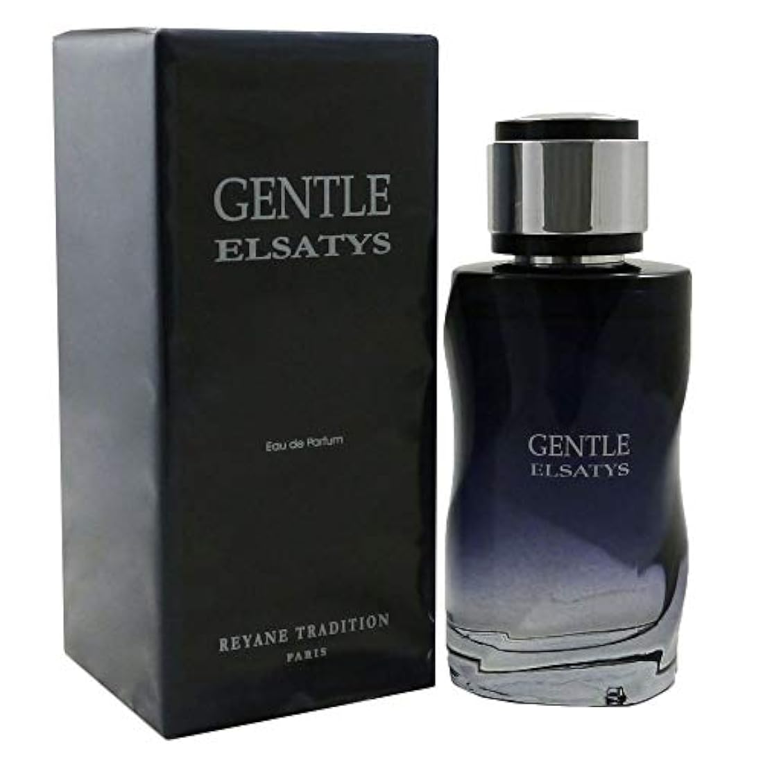 Eau de parfum Gentle Elsatys de Reyane Tradition, para hombre, 3.3 fl oz