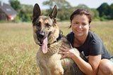 Correa de cuero para entrenamiento para perros