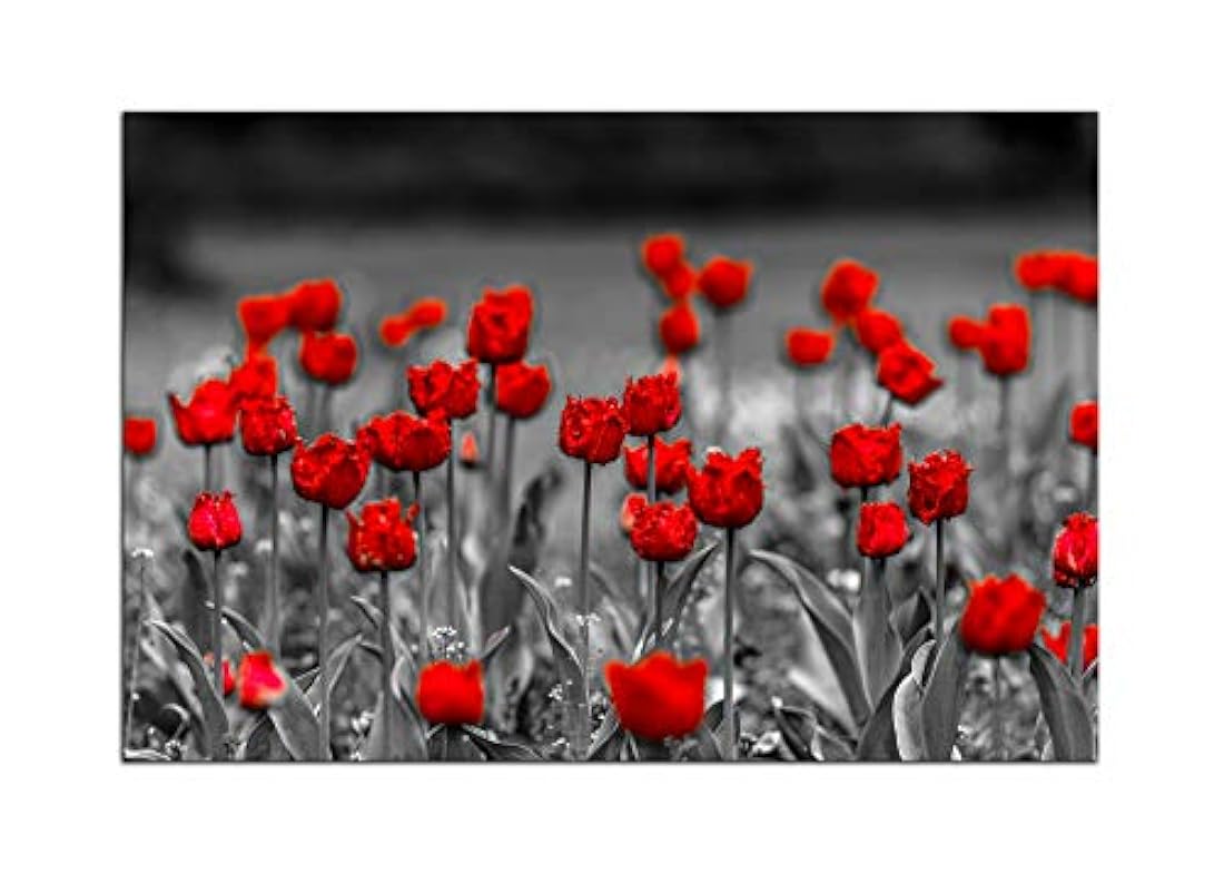 Lienzo decorativo con diseño de flores de amapolas rojas