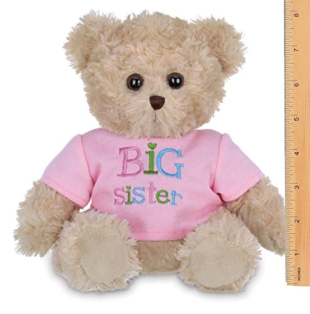 Oso de peluche (12.0 in), color rosa