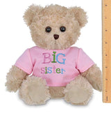 Oso de peluche (12.0 in), color rosa