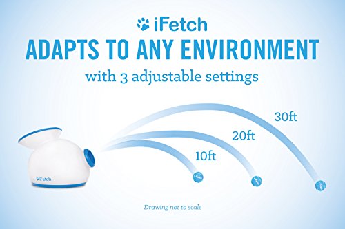 Lanzador de Pelotas Interactivo iFetch para Perros