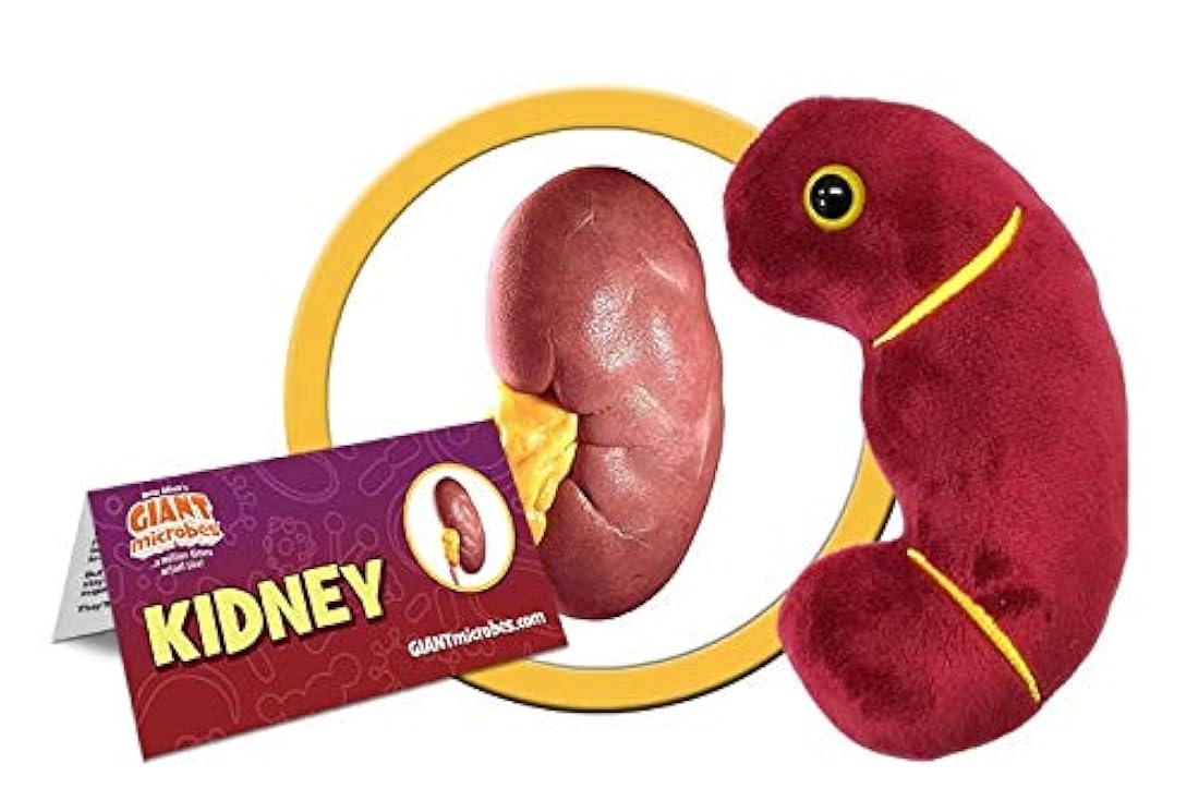 Peluche de riñón