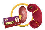Peluche de riñón