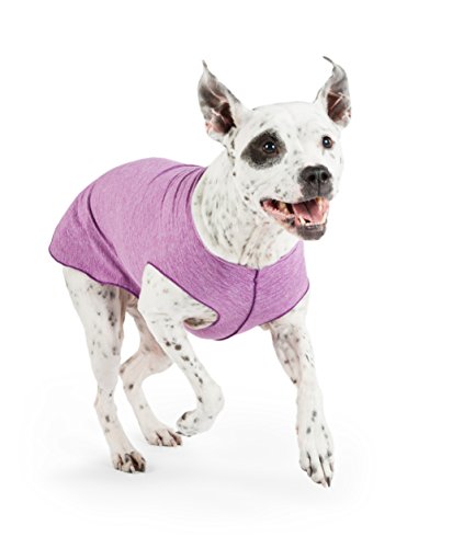 Camiseta para perro con protección UV, alivia la ansiedad de las mascotas, protege heridas, previene las colas de zorro, alopecia, lavable a máquina, para uso durante todas las estaciones, 28, Violeta