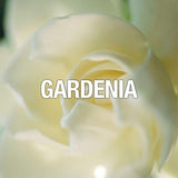 Juego de perfume para mujer por Paul Sebastian