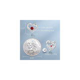 Aretes de plata  con piedra de nacimiento de diciembre