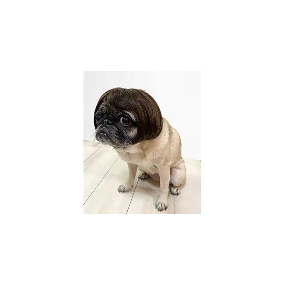 Disfraces de peluca de perro talla L