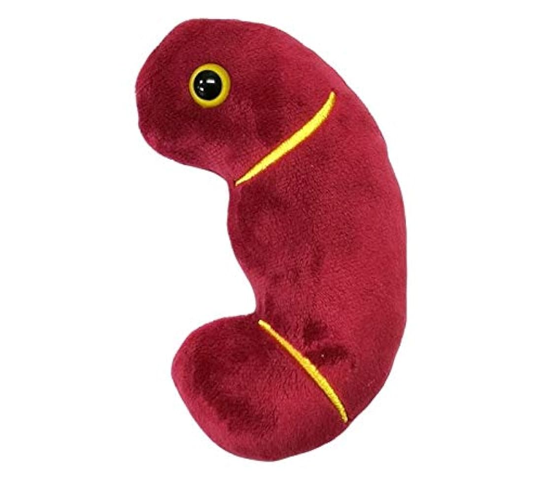 Peluche de riñón