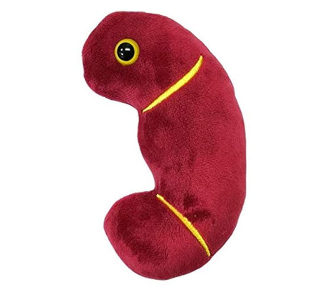 Peluche de riñón