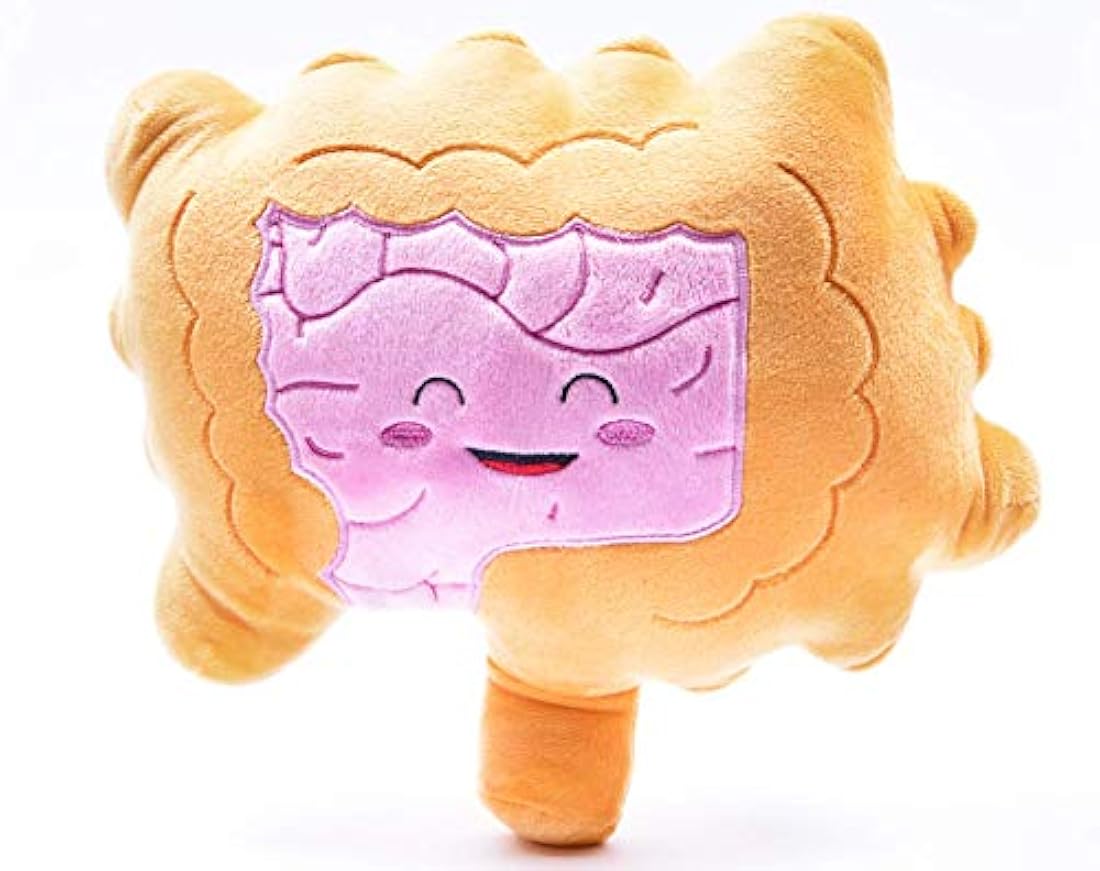 Nerdbugs Intestines / Colon Plush Organ-