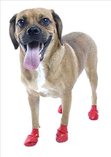 Bota para perros a prueba de agua