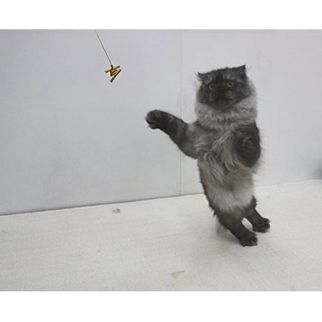 Cat Dancer 101 Cat Dancer Juguete interactivo para gatos