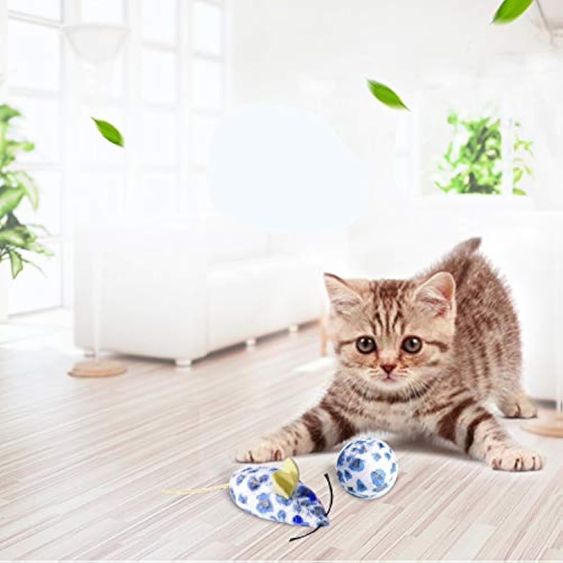 Kit de iniciación para gatos