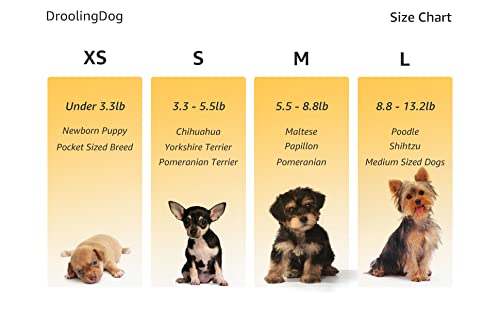 Paquete de 6 camisas para perros pequeños