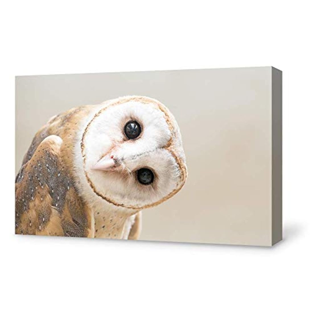 SIGNFORD - Lienzo decorativo para pared de sala de estar