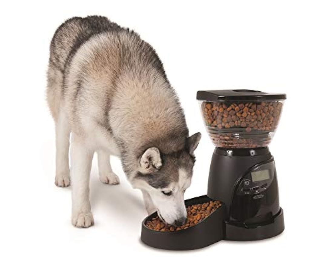 Comedero programable para gatos y perros color negro
