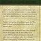 Vine Diccionario Expositivo De la biblia Libro