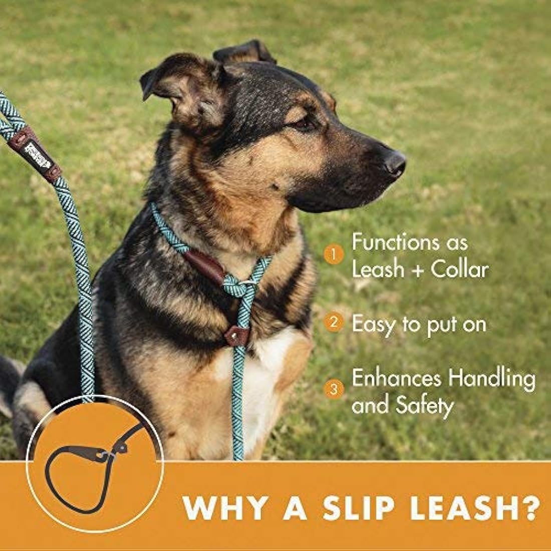Correa de cuerda para perros extremadamente duradera
