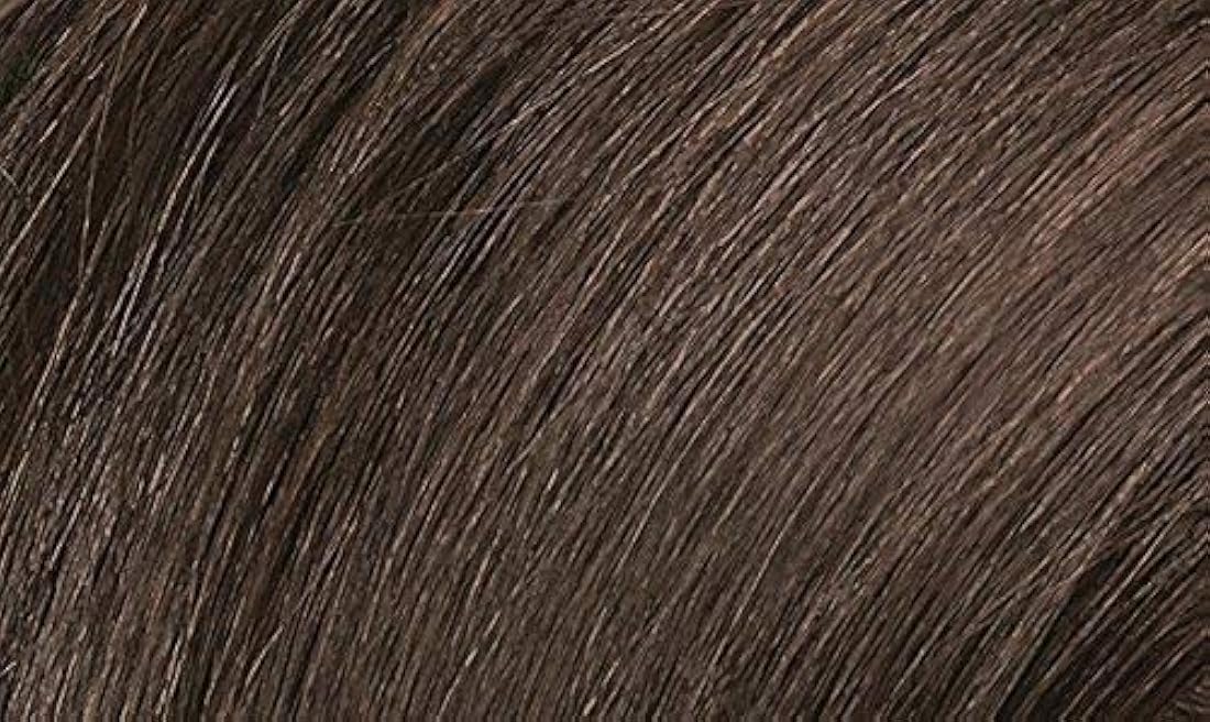 Naturtint Color permanente de cabello 6N rubio oscuro (paquete de 6), libre de amoníaco, vegano, sin crueldad, hasta 100% cobertura gris, resultados de larga duración
