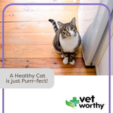 Suplementos Gel urinario para gatos para apoyar la salud