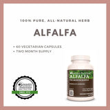 Suplemento de hierbas Extracto de alfalfa en polvo 1,000 mg