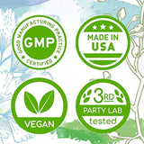 Cilantro alcohol-free Extracto Tintura de hierbas