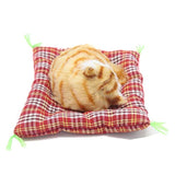 Peluche de felpa diseño de gato marrón con manta. Coolayoung