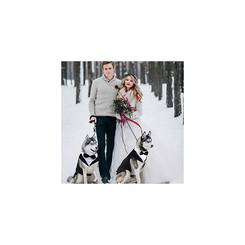 Disfraces de esmoquin para perros talla S