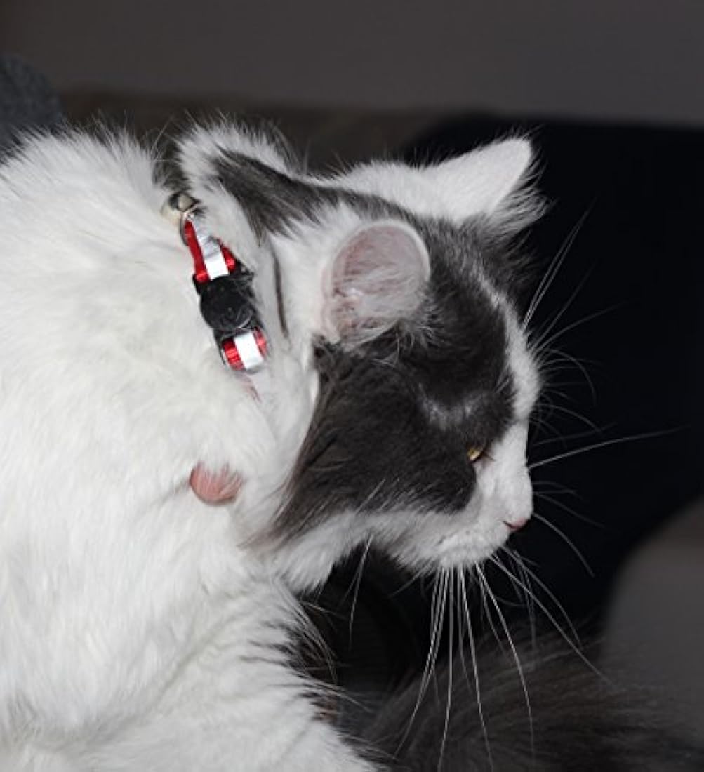 Collar para gato con campana y cinta reflectora, de 3 o 6