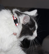 Collar para gato con campana y cinta reflectora, de 3 o 6