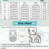 Wizland Chubasquero para perros con capucha, ligera, impermeable, XS a XXL para perros y cachorros (amarillo, XS)
