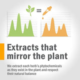 Extracto de agripalma orgánica certificado Herb Pharm