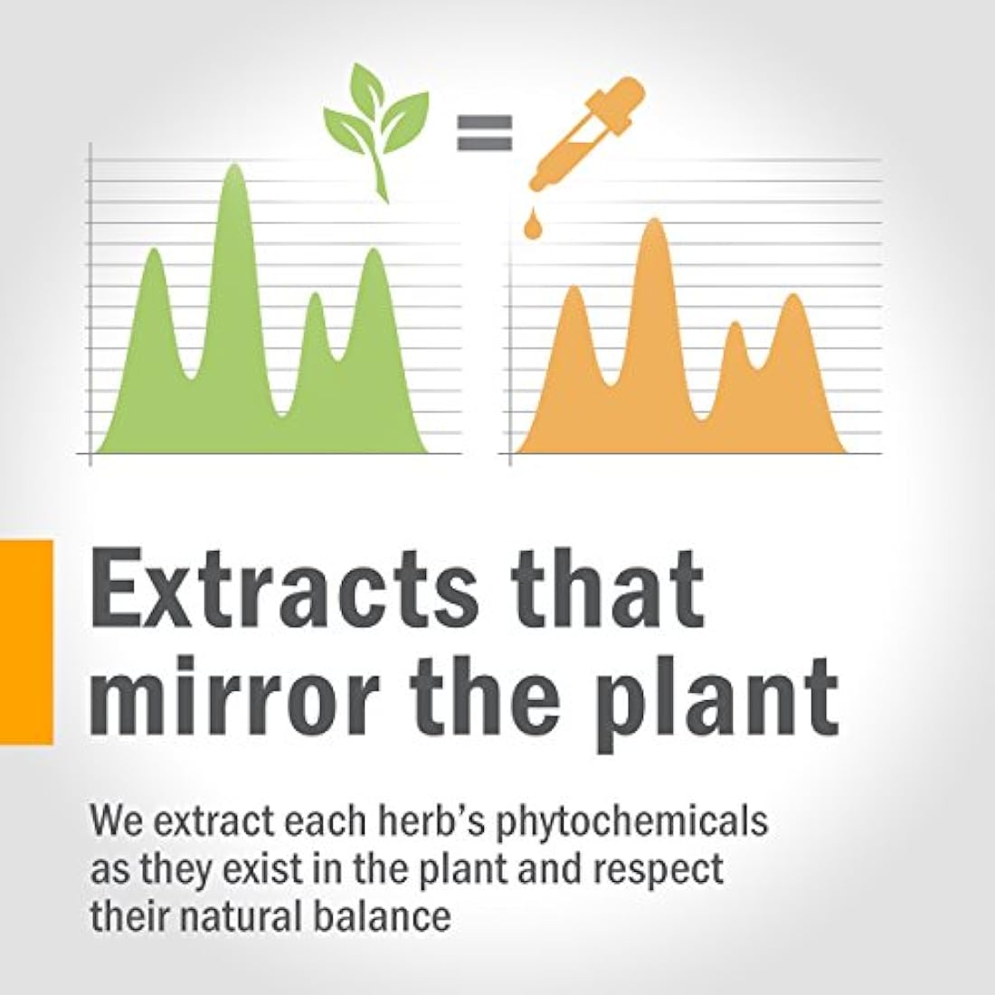 Extracto de semillas de cerdas Herb Pharm