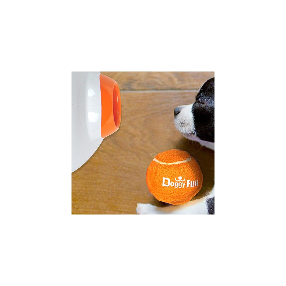 PELOTAS DE JUGUETE NARANJA SERENELIFE PRTSLDGFBLN6 5 PACK