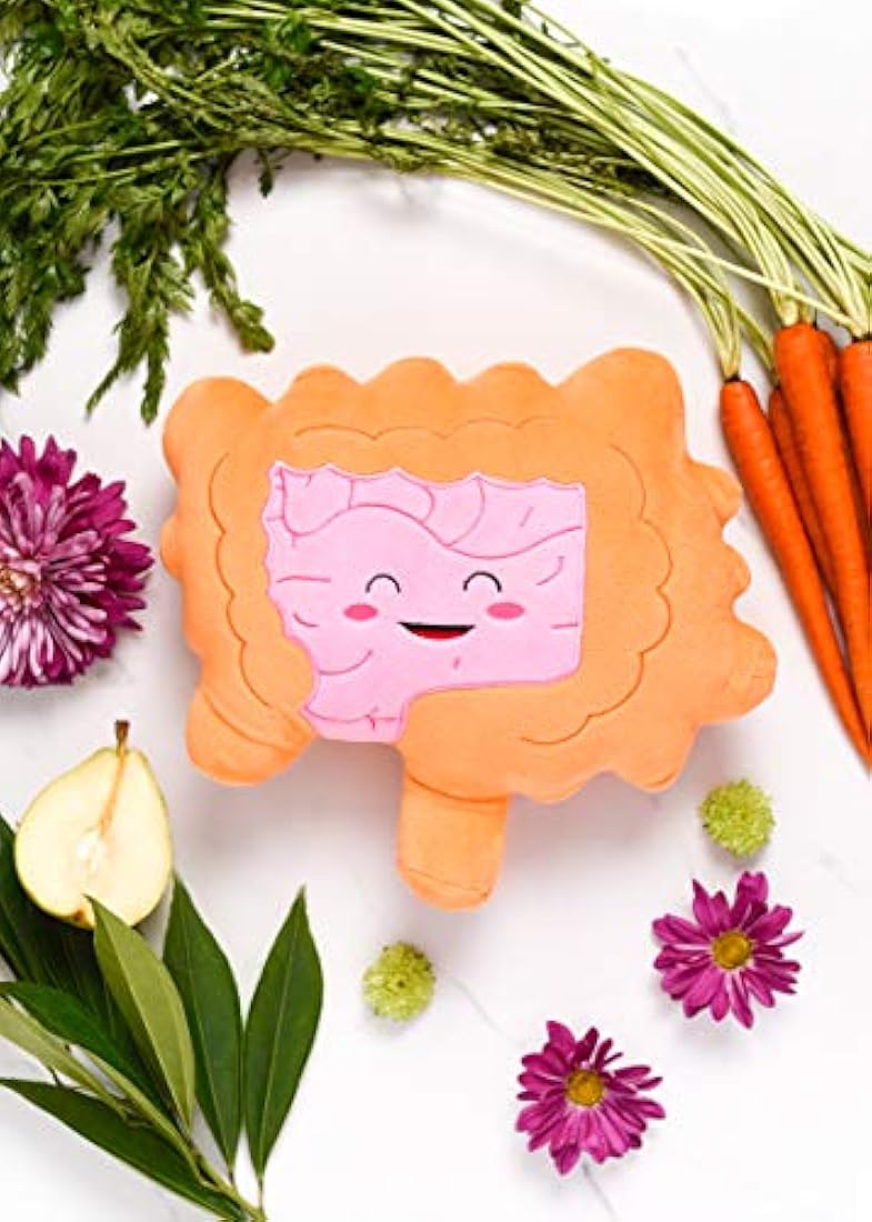 Nerdbugs Intestines / Colon Plush Organ-