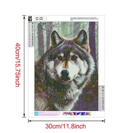 Kit de pintura de diamante Eiflow 5D,pintura de bricolaje