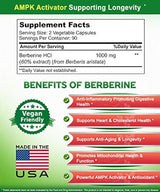 Berberina pura - Complemento de 900 mg - 180 cápsulas
