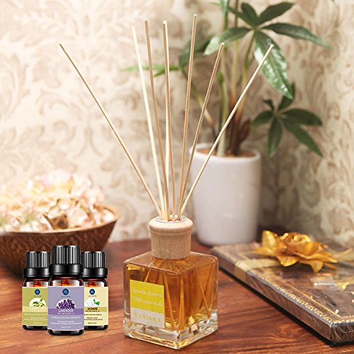 Top 20 Aceites de aromaterapia