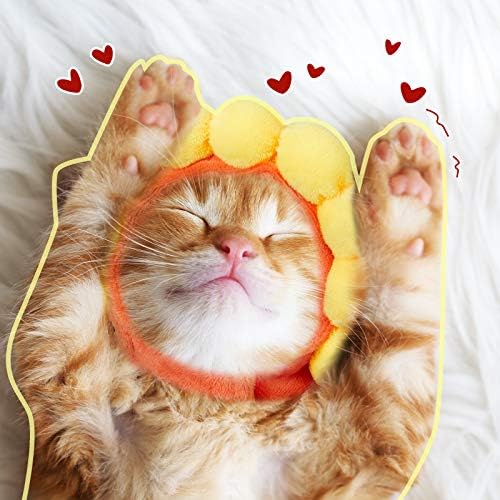 Disfraz de Gato Weewooday con Sombrero y Orejas, 5 Piezas