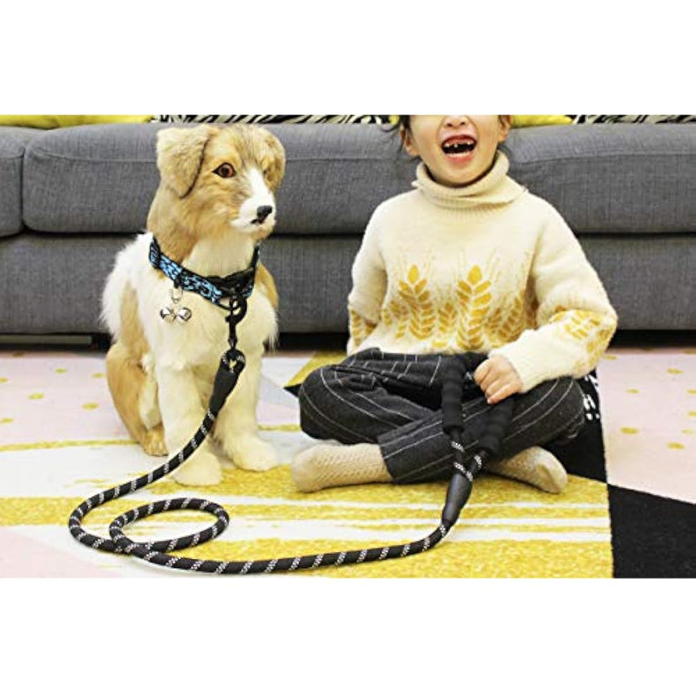 Correa fuerte para perros BAAPET de 5 pies